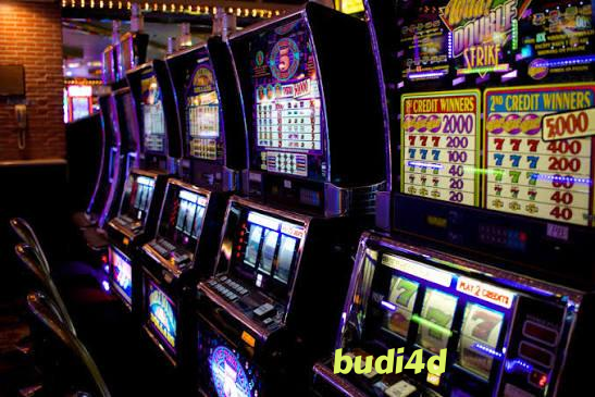 budi4d slide 1